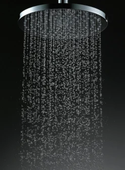 Dawn 8 or 10 inch Round Rainhead