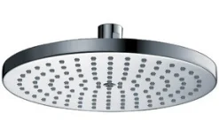 Dawn 8 or 10 inch Round Rainhead