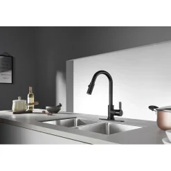 Kingston Brass Gourmetier Continental Single-Handle Single-Hole Pull-Down Kitchen Faucet