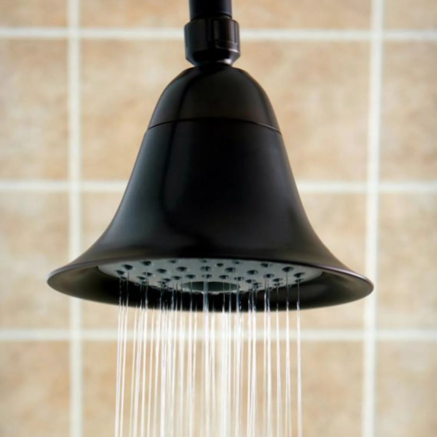 Kingston Brass KX365 Dual Setting Adjustable Showerhead in Oil Rubbed Bronze