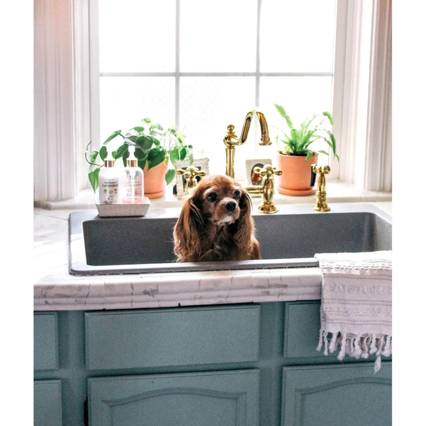Kingston Brass Restoration Kitchen Bridge Faucet with Brass Sprayer