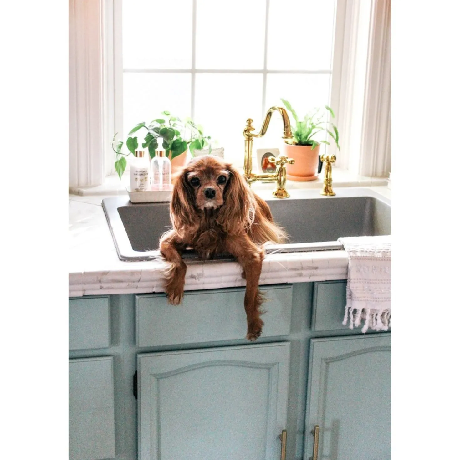 Kingston Brass Restoration Kitchen Bridge Faucet with Brass Sprayer