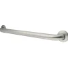 Kingston Brass 24" Stainless Steel ADA Grab Bar in Brushed Stainless