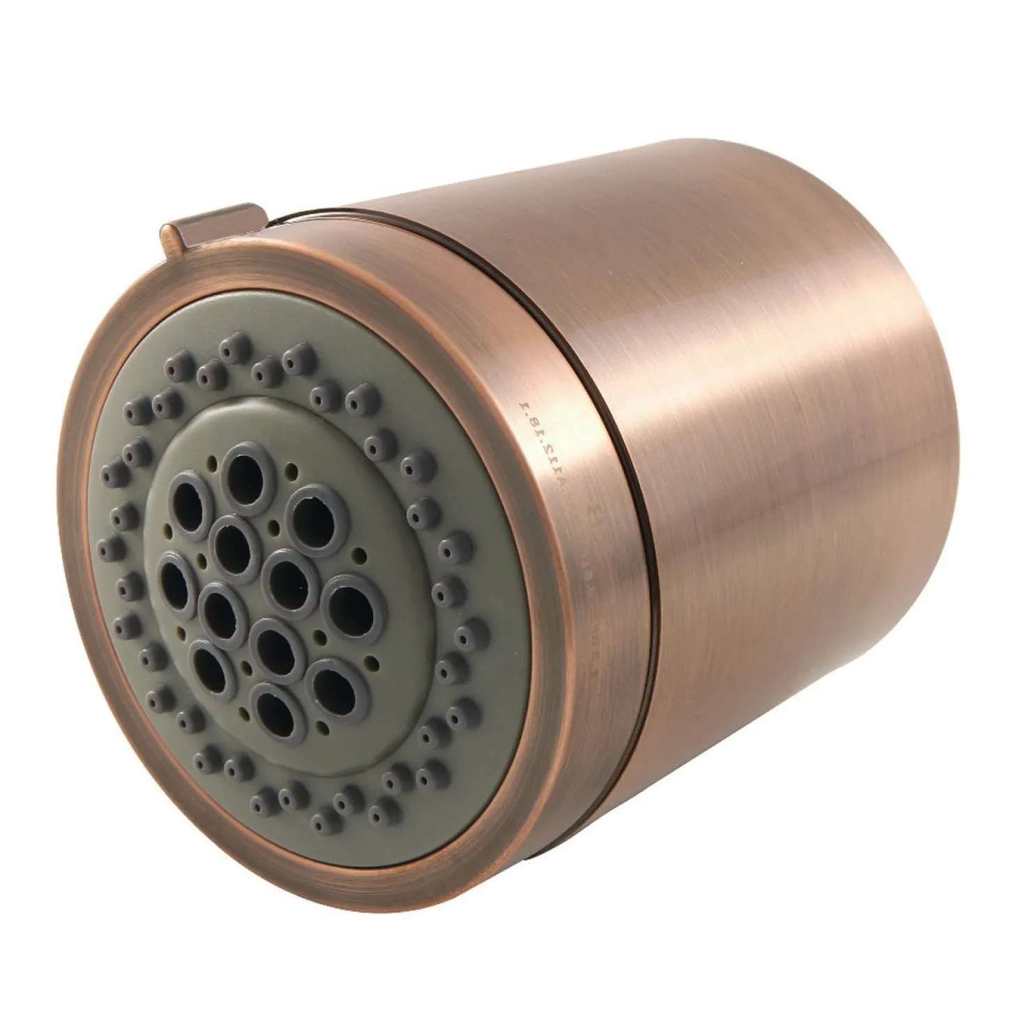 Kingston Brass Vilbosch 2-Function Shower Head