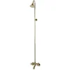Kingston Brass Vintage Wall Mount Clawfoot Tub and Shower Package