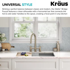 KRAUS Contemporary Bridge Kitchen Faucet with Spray-Head in Antique Bronze