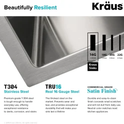 KRAUS 33