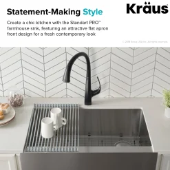 KRAUS 33