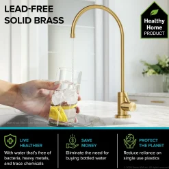 KRAUS Oletto Pull-Down Kitchen Faucet & Purita Water Filter Faucet in Brushed Brass
