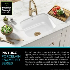 KRAUS Pintura 23