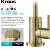 KRAUS Purita 100% Lead-Free Kitchen Water Filter Faucet in Spot Free Antique Champagne Bronze