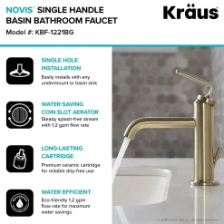 KRAUS Ramus Single Handle 2-Pack Bathroom Sink Faucet with Lift Rod Drain in Brushed Gold