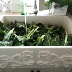 Nantucket Sinks 33