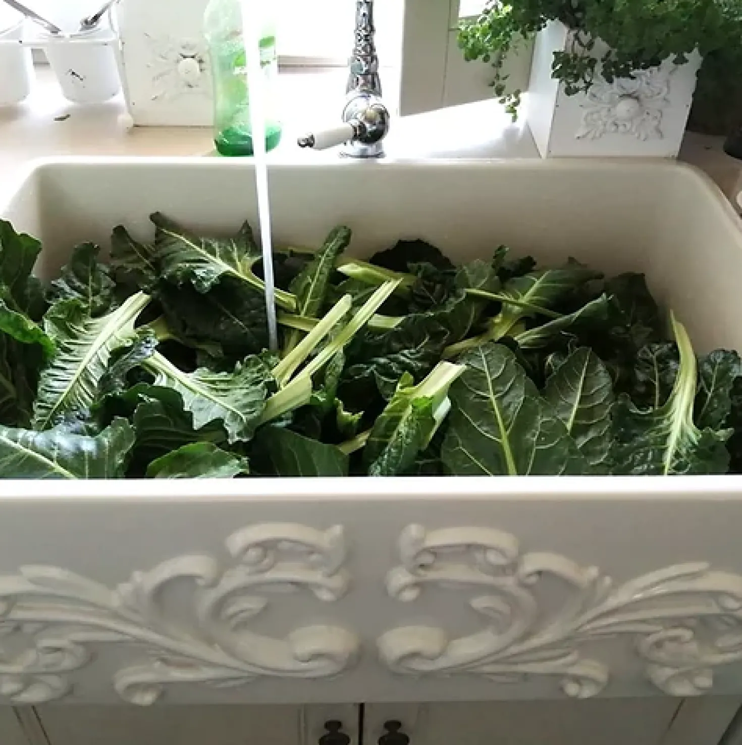 Nantucket Sinks 33" Farmhouse Fireclay Sink with Filigree Apron