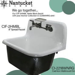 Nantucket Sinks Matte Black Wall Mount Utility Faucet with Soap Dish