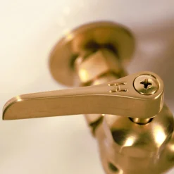 Nantucket Sinks Satin Brass Wall Mount Utility Faucet with Soap Dish