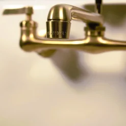 Nantucket Sinks Satin Brass Wall Mount Utility Faucet with Soap Dish