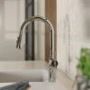 Wasserwerk Arched Pull-Down Kitchen Faucet in Chrome