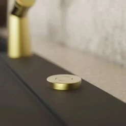 Wasserwerk Garbage Disposal Air Switch in Brushed Gold