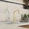Wasserwerk Kitchen Faucet with Angled Spout Pull-Down Sprayer in Brushed Gold