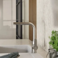 Wasserwerk Kitchen Faucet with Pull-Out Straight Spout in Brushed Nickel