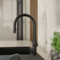 Wasserwerk Kitchen Faucet with Arch Pull-Down Spout in Matte Black