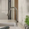 Wasserwerk Kitchen Faucet with Curved Pull-Down Spout in Chrome