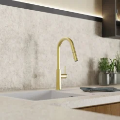 Wasserwerk Kitchen Faucet with Curved Pull-Down Spout in Brushed Gold