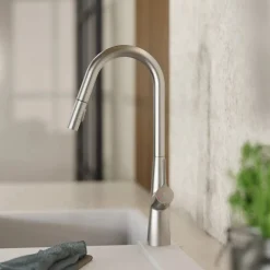Wasserwerk Kitchen Faucet with Curved Spout Pull-Down Sprayer in Brushed Nickel