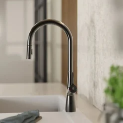 Wasserwerk Single Hole Pull Down Kitchen Faucet in Matte Graphite