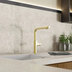 Wasserwerk Single Hole Straight Spout Kitchen Faucet in Brushed Gold
