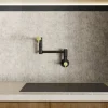 Wasserwerk Wall Mounted Pot Filler | Matte Black & Brushed Gold